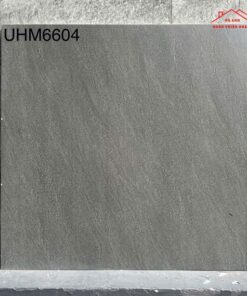 UHM 6604